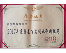 2017年度費縣百名創(chuàng)業(yè)創(chuàng)新模范
