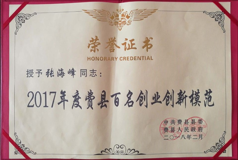 2017年度費縣百名創(chuàng)業(yè)創(chuàng)新模范-1.jpg