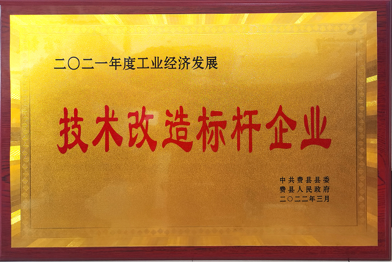 2021技術(shù)改造標(biāo)桿企業(yè)-1.jpg